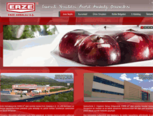 Tablet Screenshot of erze.com